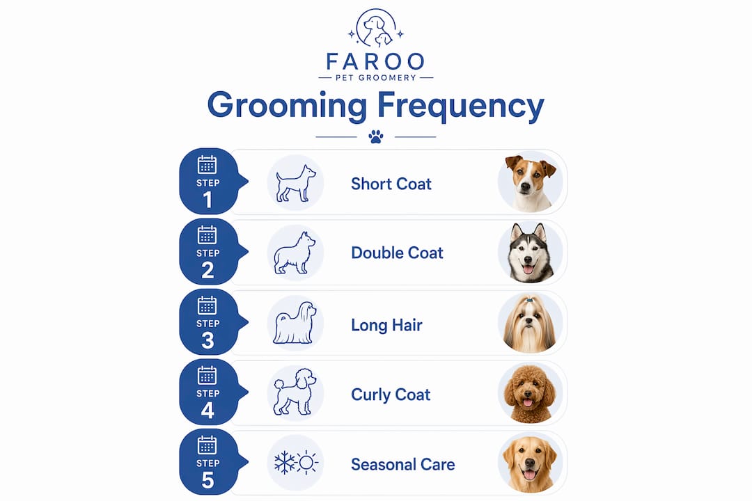 Infographic showing pet grooming schedule by coat type