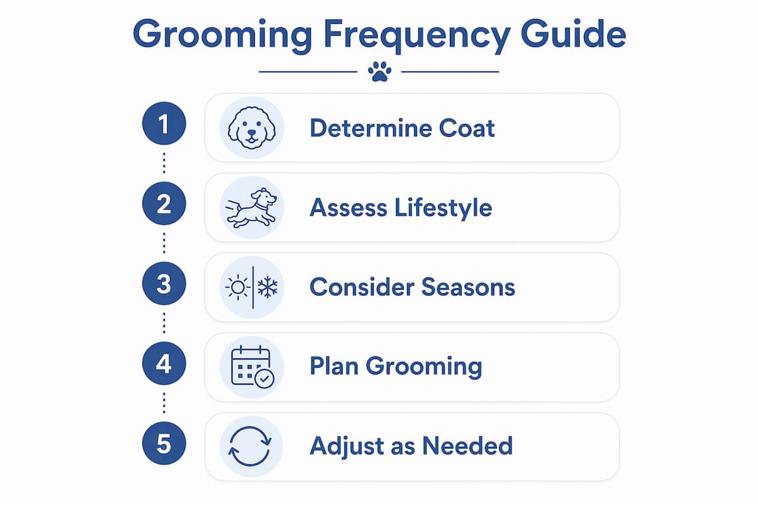 Infographic illustrating steps to determine pet grooming frequency