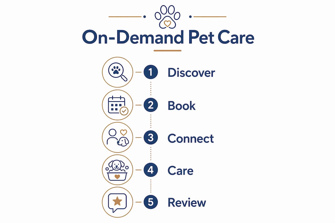 Infographic showing on-demand pet care process steps