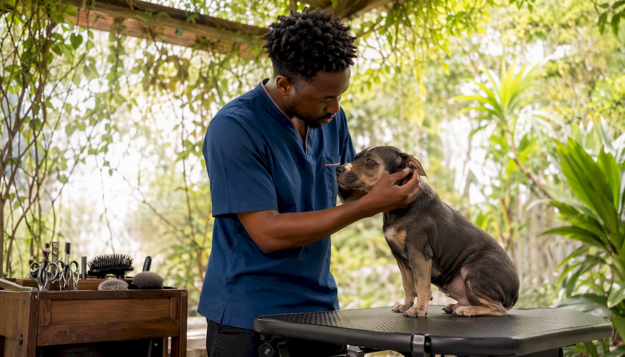 Groomer inspecting dog's coat for parasites