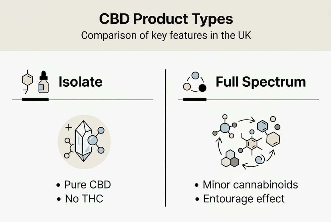 Infographic showing CBD product type comparison