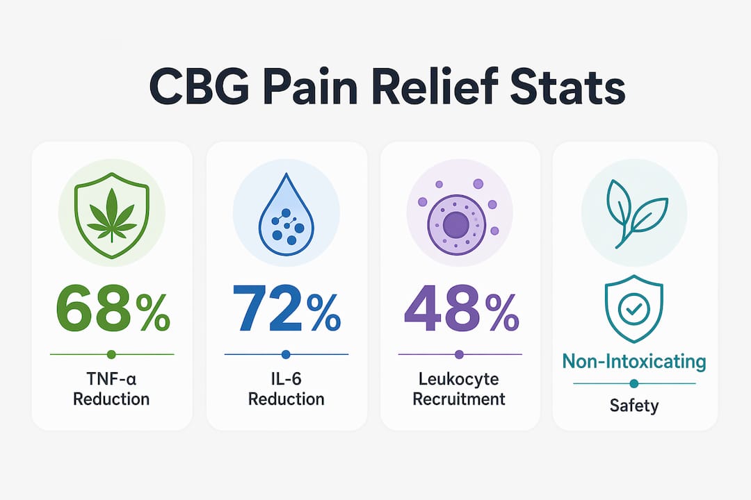 Infographic showing key CBG pain relief statistics