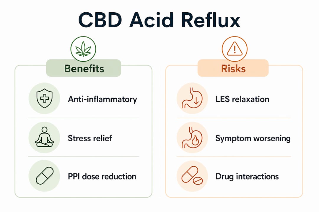 Infographic comparing CBD benefits and risks for acid reflux