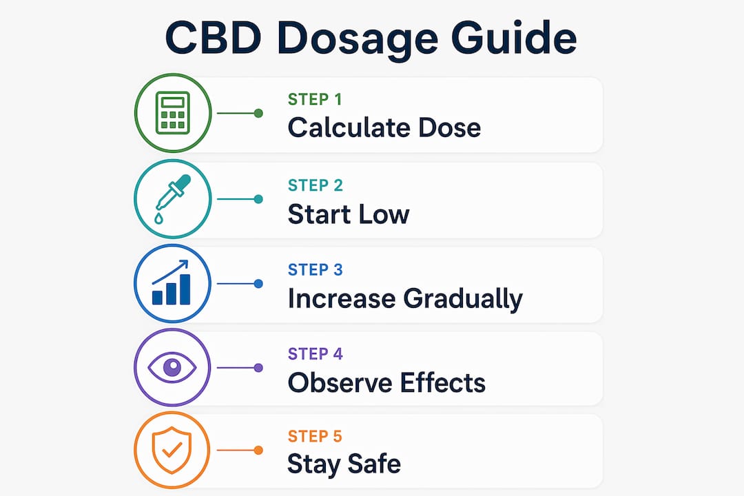 Infographic showing step-by-step CBD dosage guide in UK