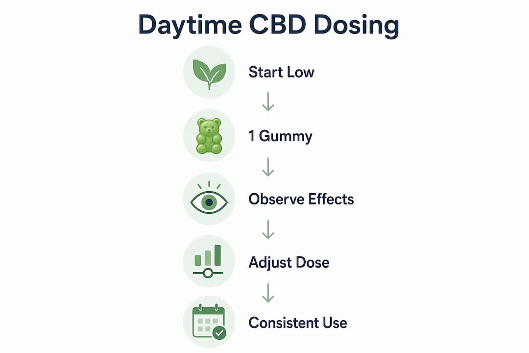 Infographic illustrating daytime CBD gummy dosing steps