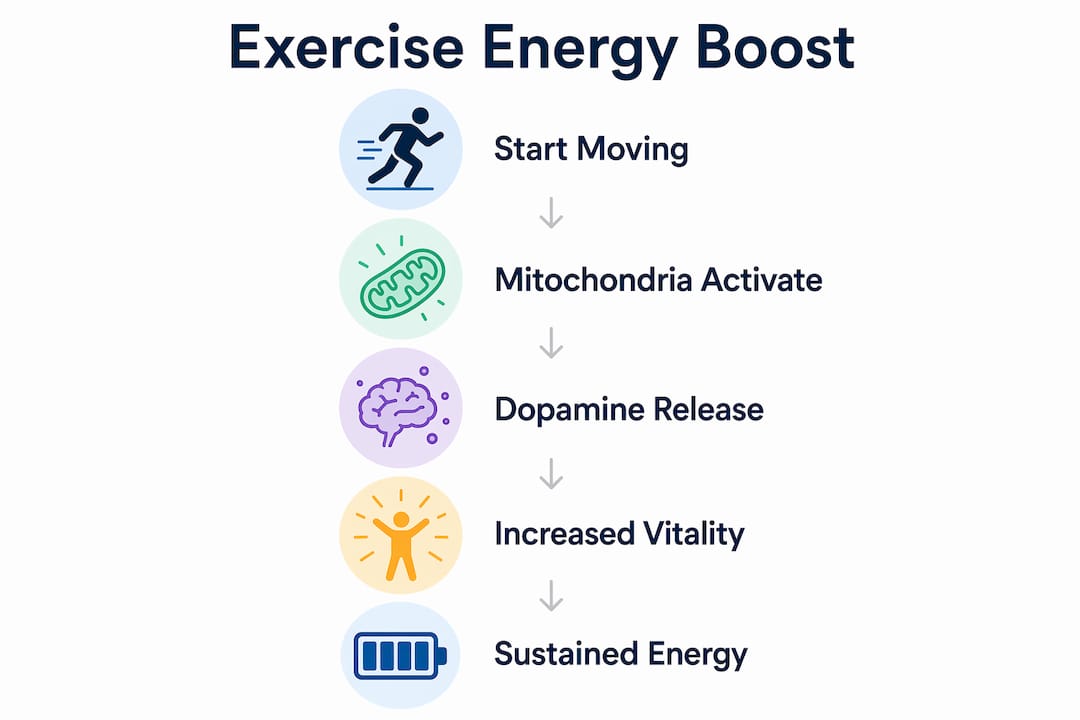 Infographic showing exercise boosting energy steps