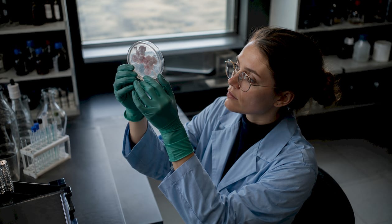 Scientist examining lung tissue samples in lab