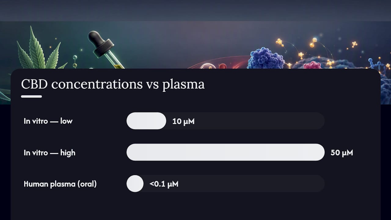 How assay choice, dosing, and pharmacokinetics shape conclusions — overview diagram