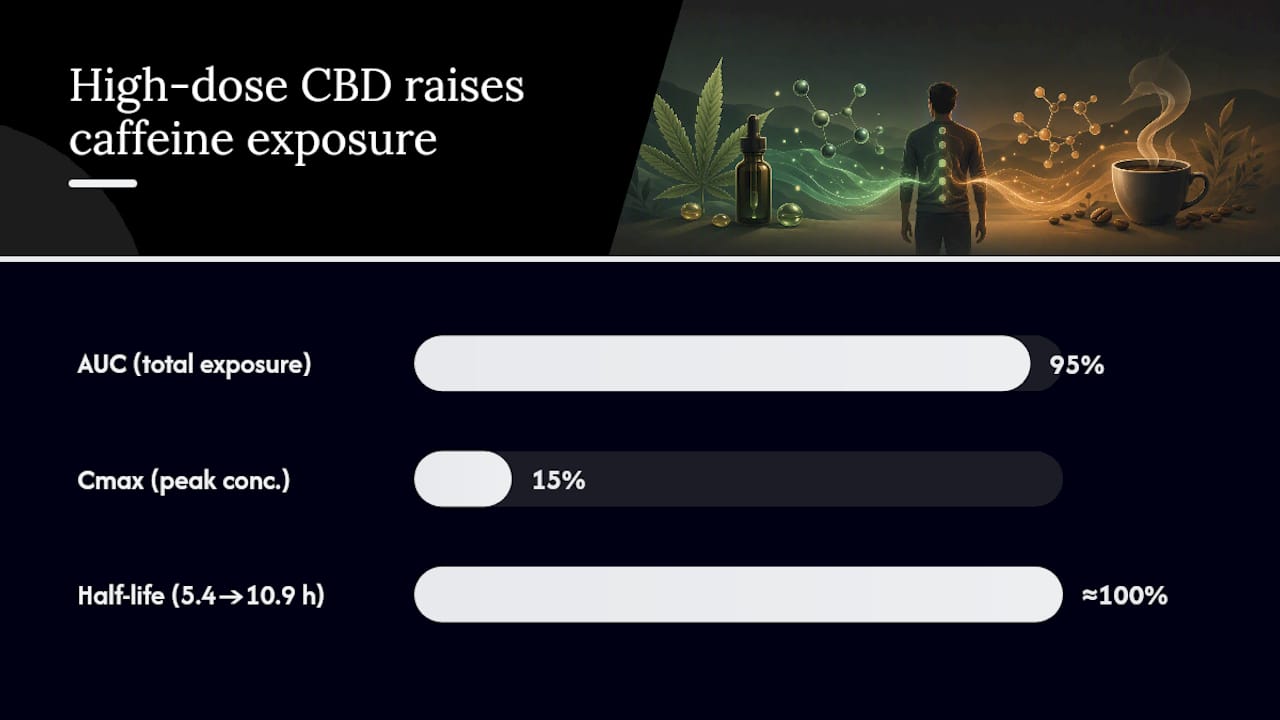 Diagram showing CBD effects on caffeine metabolism metrics