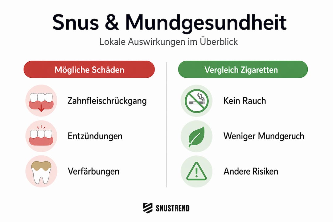 Infografik im Vergleich: Snus und seine Auswirkungen auf die Mundgesundheit