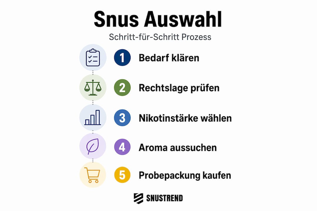 Infografik: So findest du den passenden Snus – Schritt für Schritt