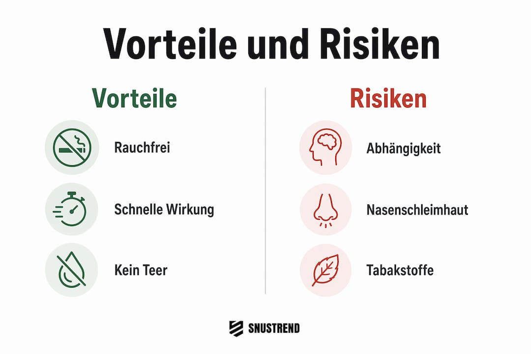 Übersichtsgrafik: Chancen und Risiken von Schnupftabak im Blick