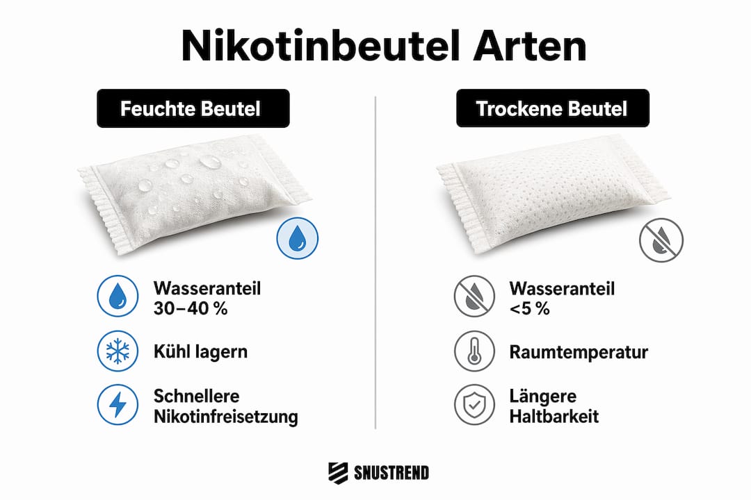 Infografik: Feuchte vs. trockene Nikotinbeutel im direkten Vergleich