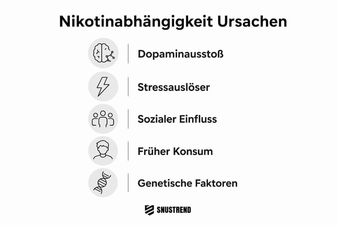 Grafik: Welche Faktoren begünstigen die Entstehung einer Nikotinsucht?