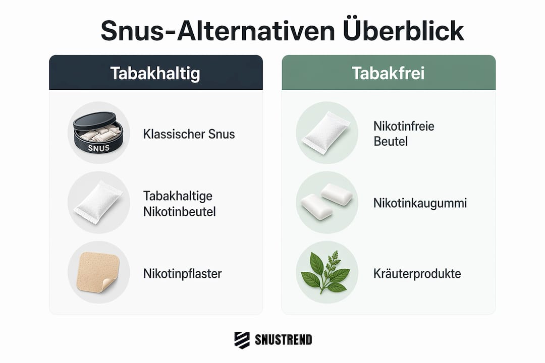 Überblick: Verschiedene Kategorien von Snus-Alternativen auf einen Blick