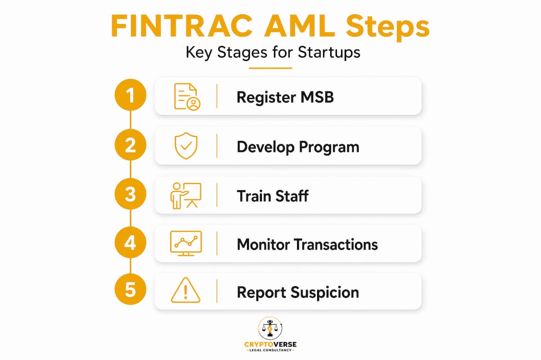 Infographic showing five AML steps for FINTRAC compliance