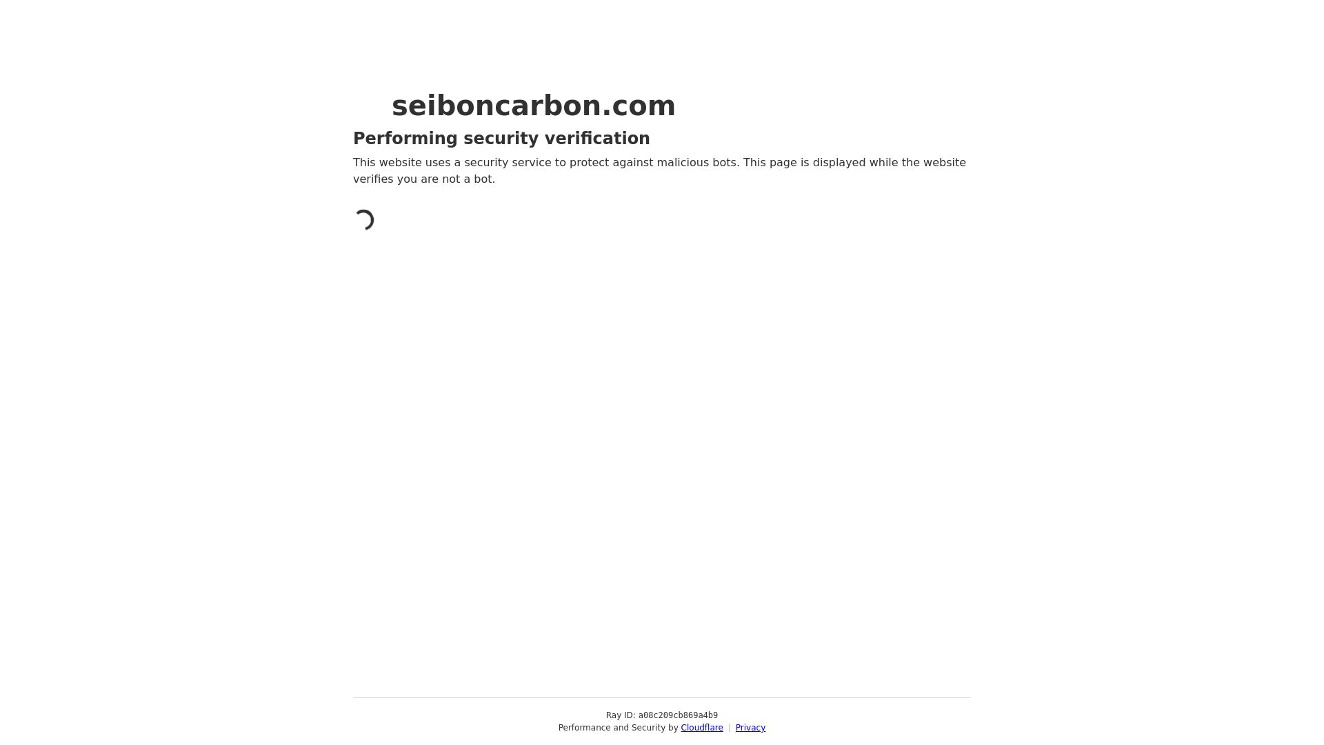 https://seiboncarbon.com
