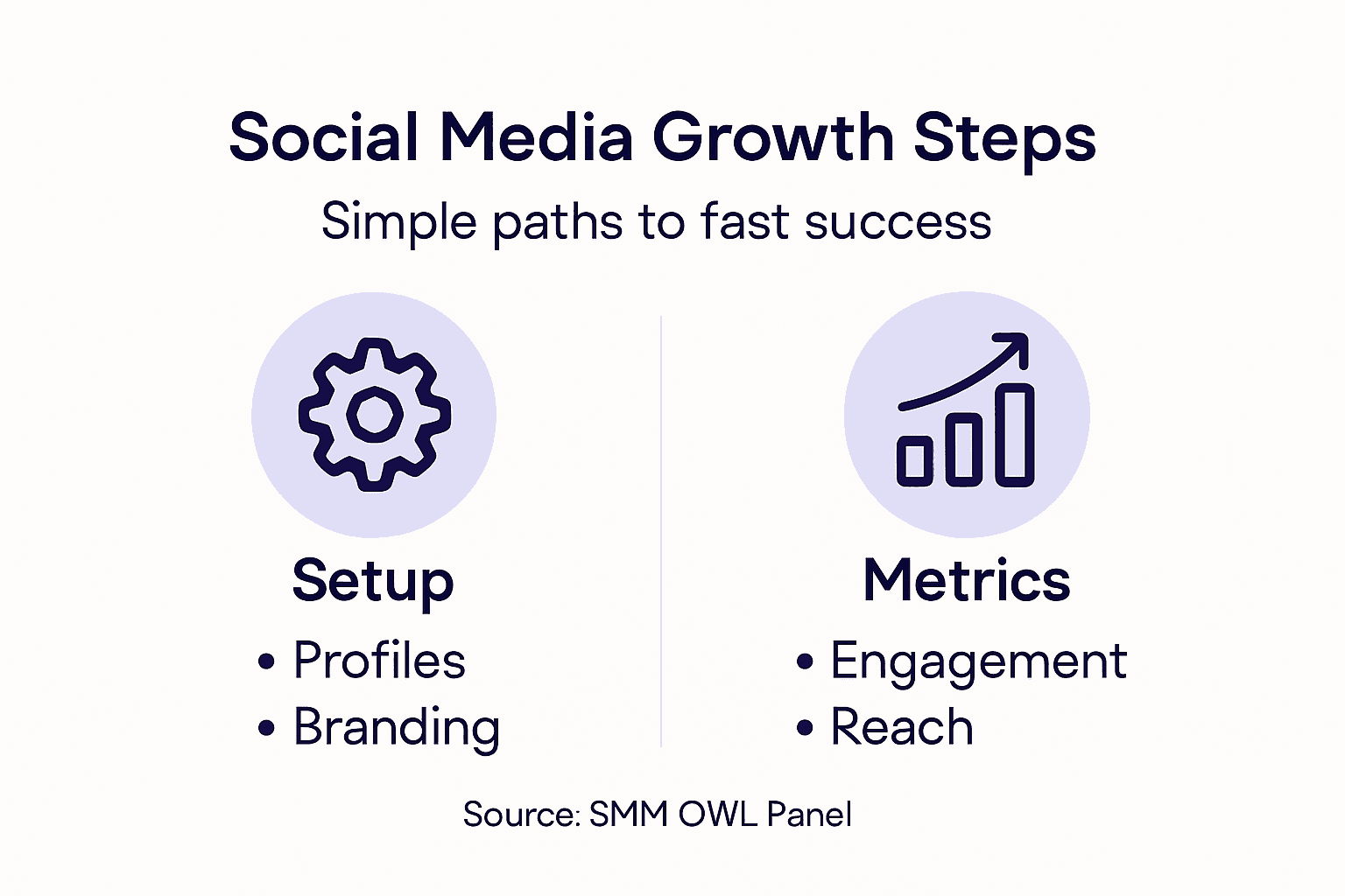 Infographic with social media growth steps and metrics