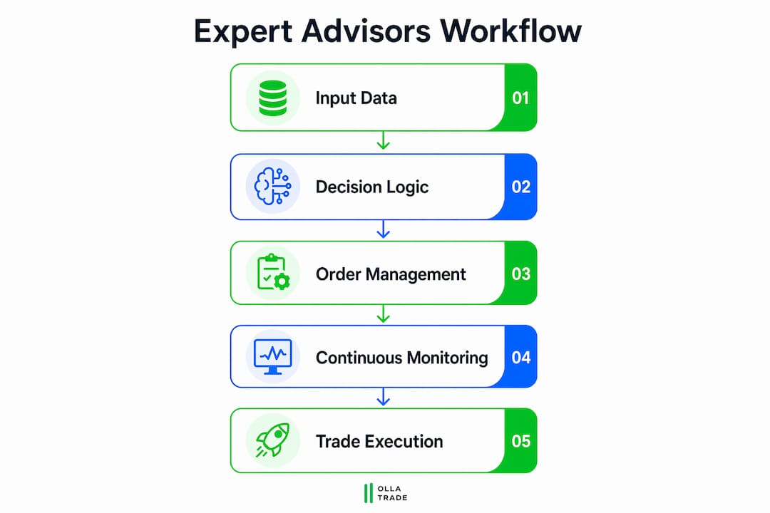 Infographic illustrating expert advisors workflow steps