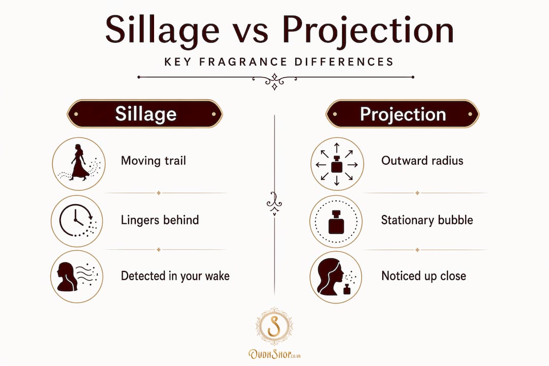 Infographic comparing sillage and projection in perfume