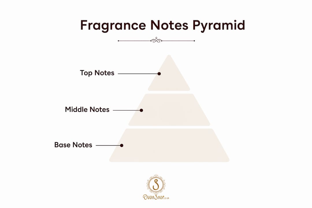 Infographic of perfume notes pyramid hierarchy