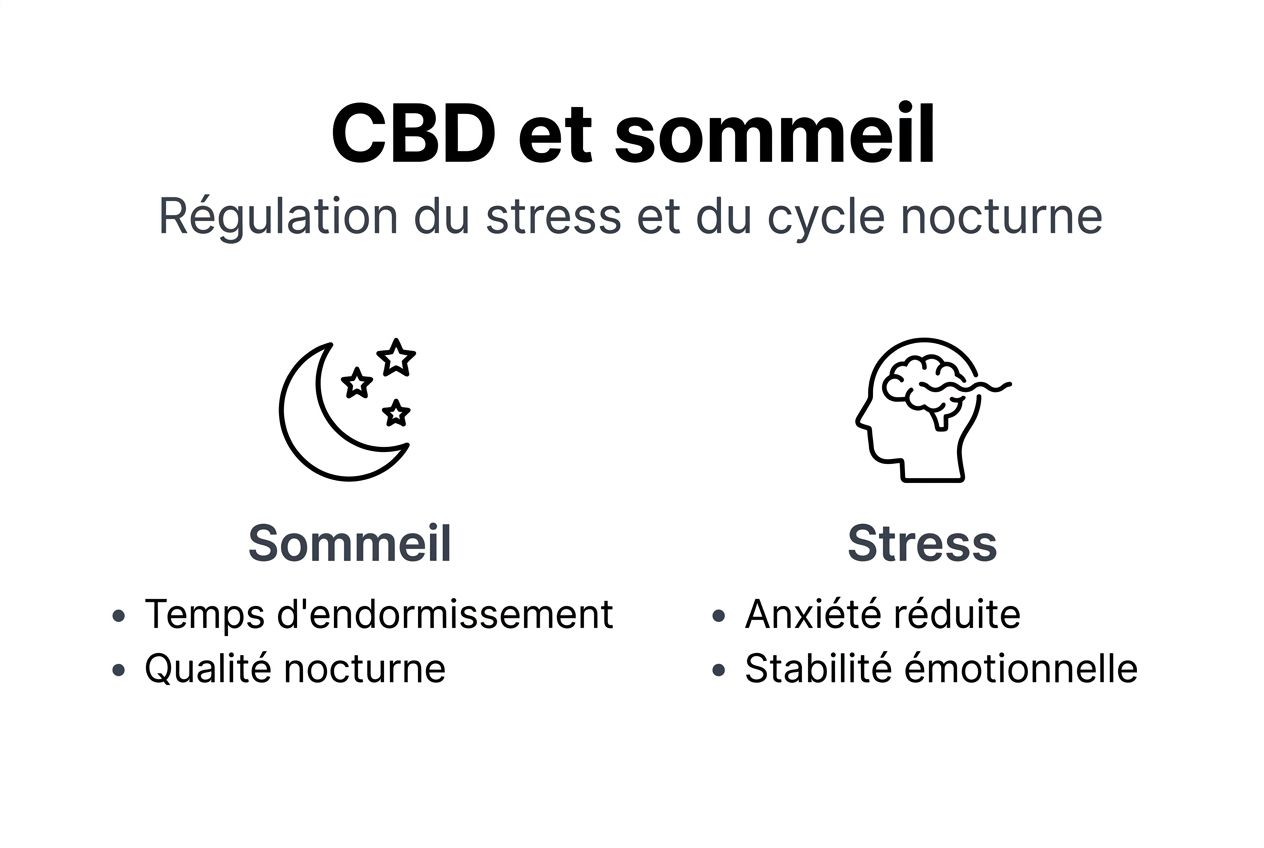 Infographie : le CBD, allié du sommeil et de la sérénité