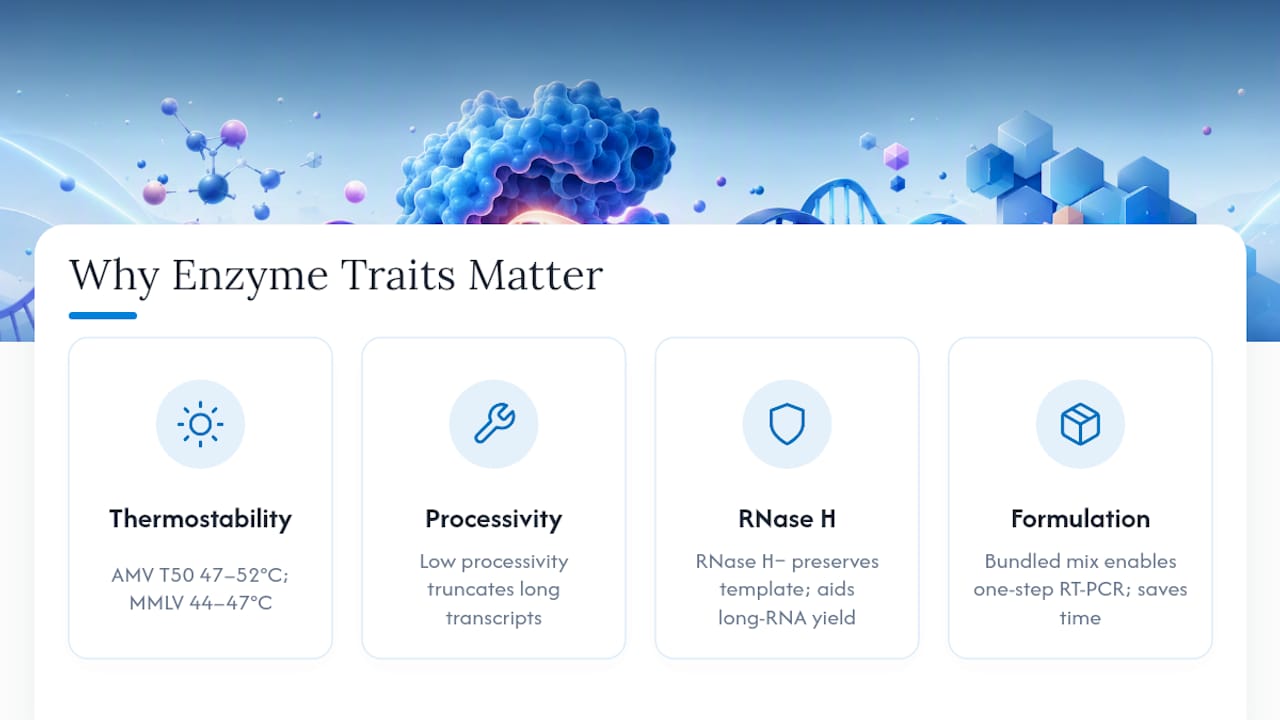 Why Thermostability, Processivity, and RNase H Status Actually Matter — overview diagram