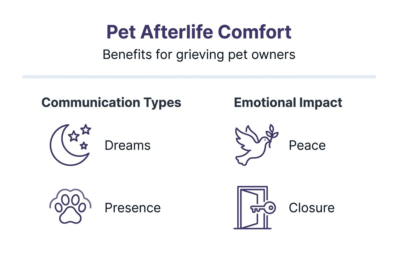 Infographic pet afterlife comfort benefits
