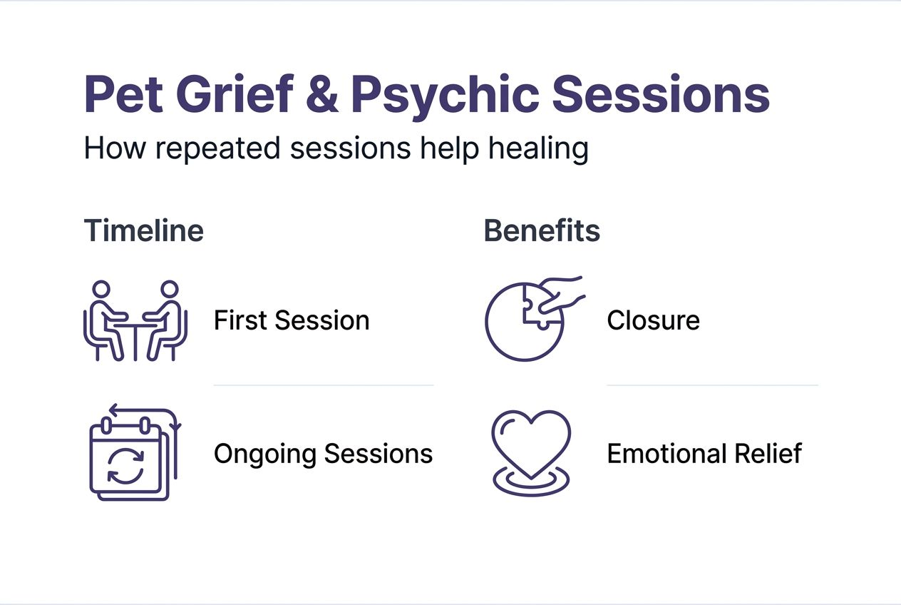 Infographic charting pet psychic session timeline and benefits