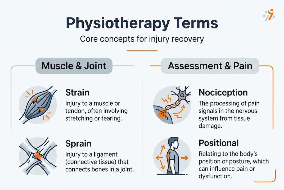 Infographic summarizing key physiotherapy terms