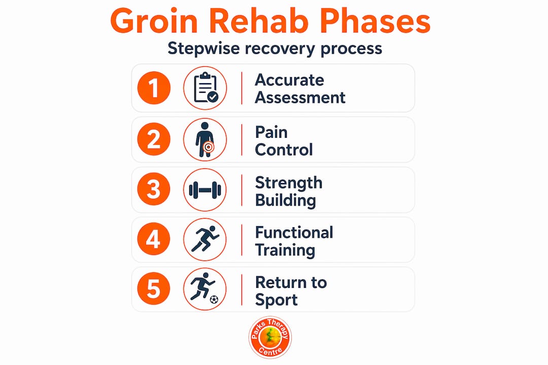Groin injury rehab stepwise vertical infographic