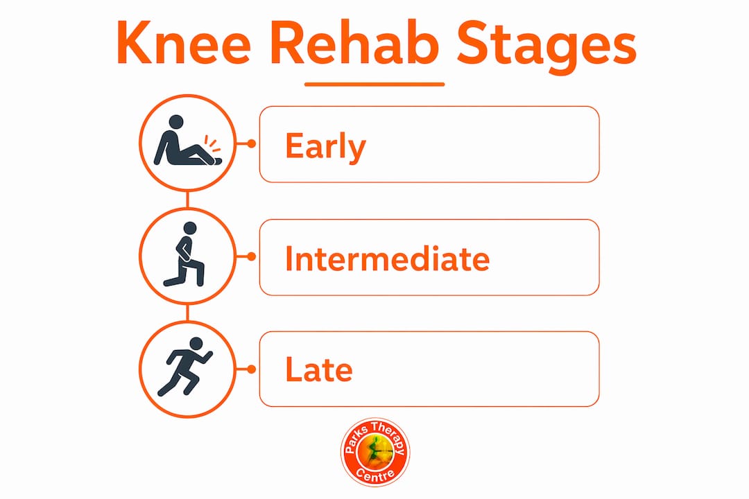 Infographic showing stages of knee rehabilitation