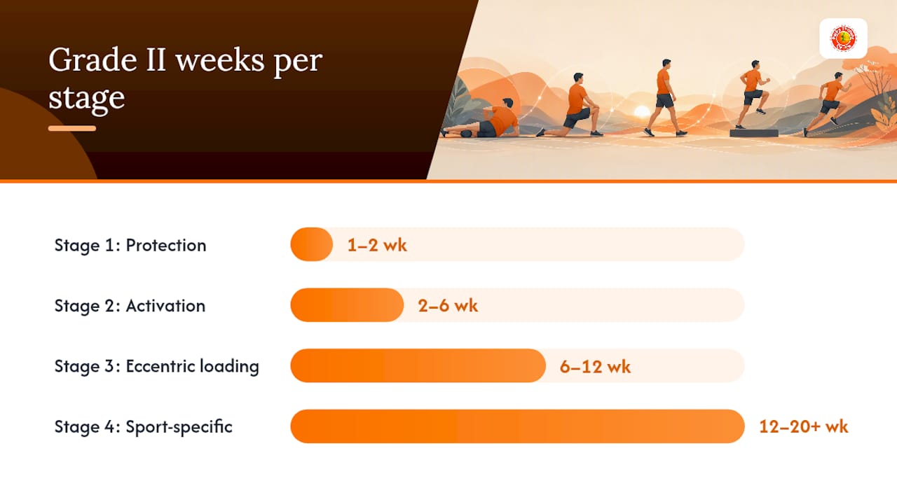 Hamstring strain rehabilitation stages infographic
