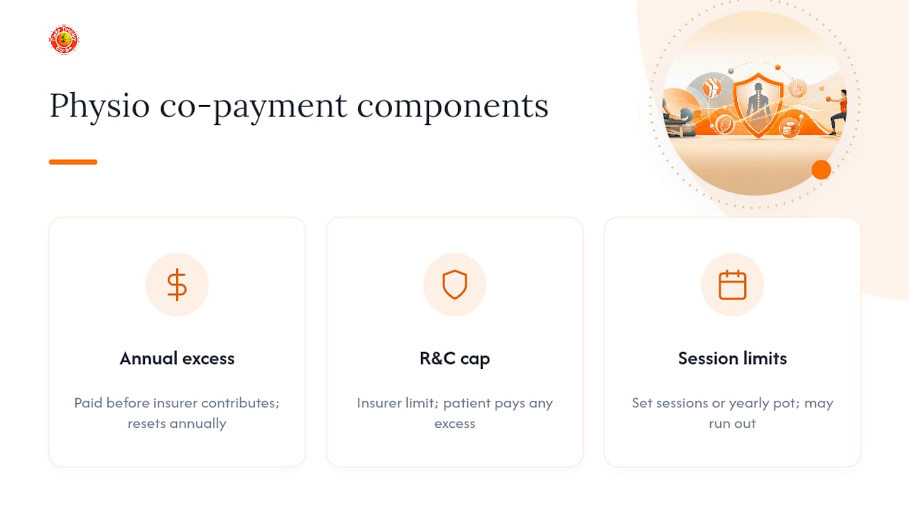 Diagram of insurance co-payment factors for physiotherapy