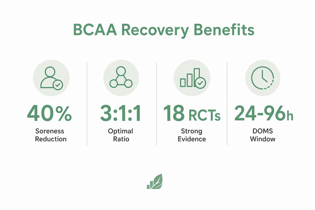Infographic highlighting BCAA recovery benefits