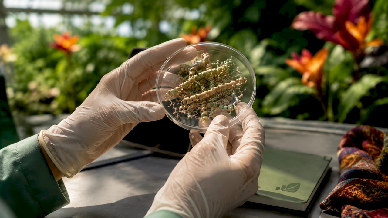 Wissenschaftler untersucht Keratinproteinmodell im Labor