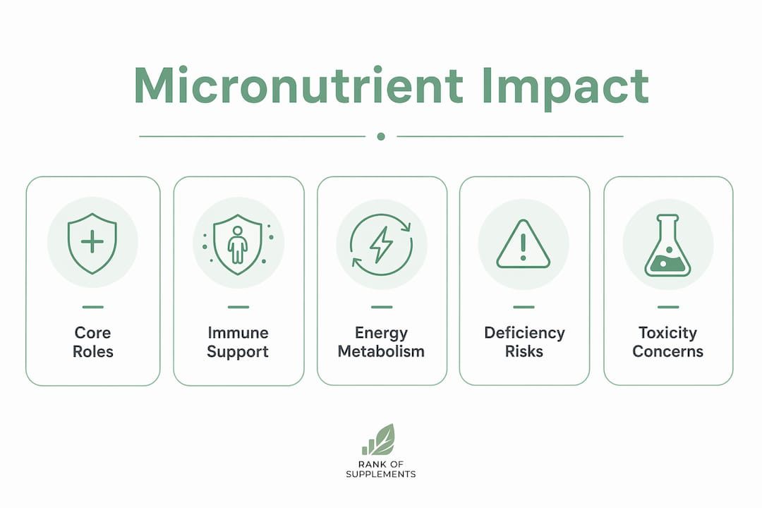 Infographic illustrating micronutrient roles and risks