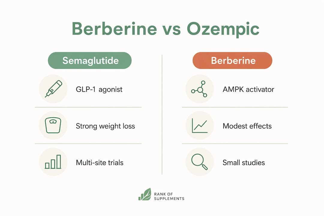 Infografiek vergelijking berberine en semaglutide