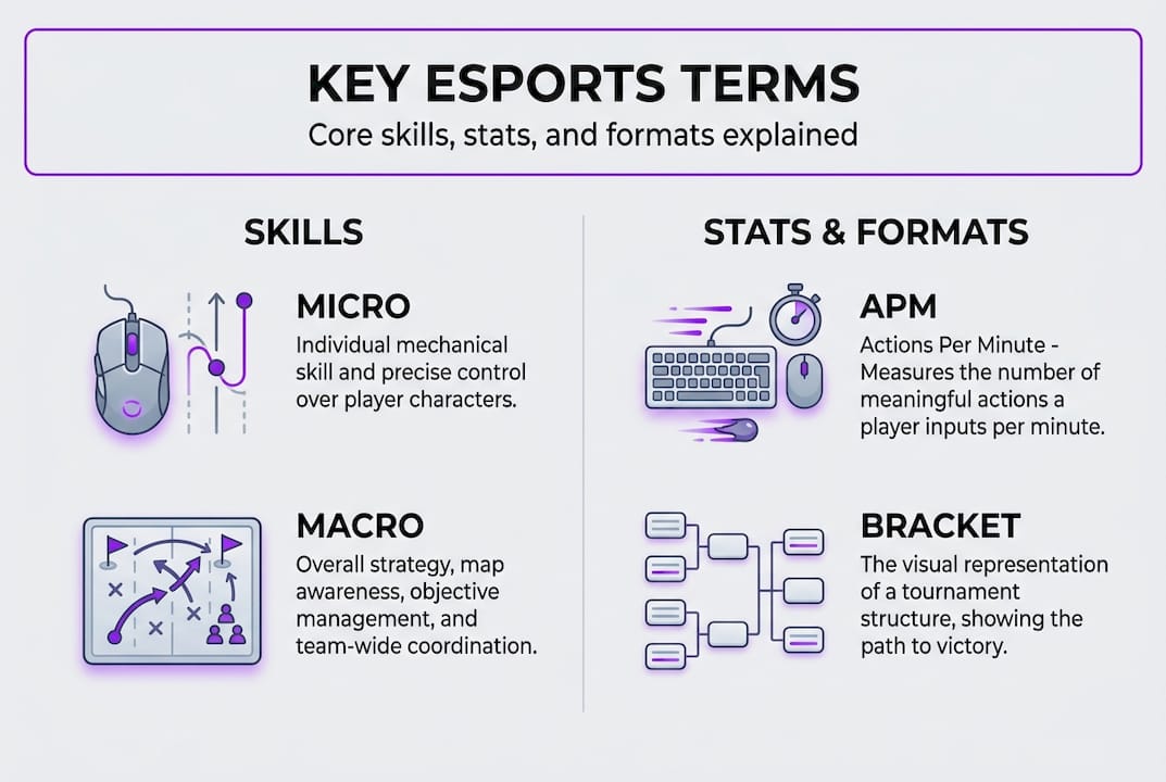Infographic showing key esports terms and categories