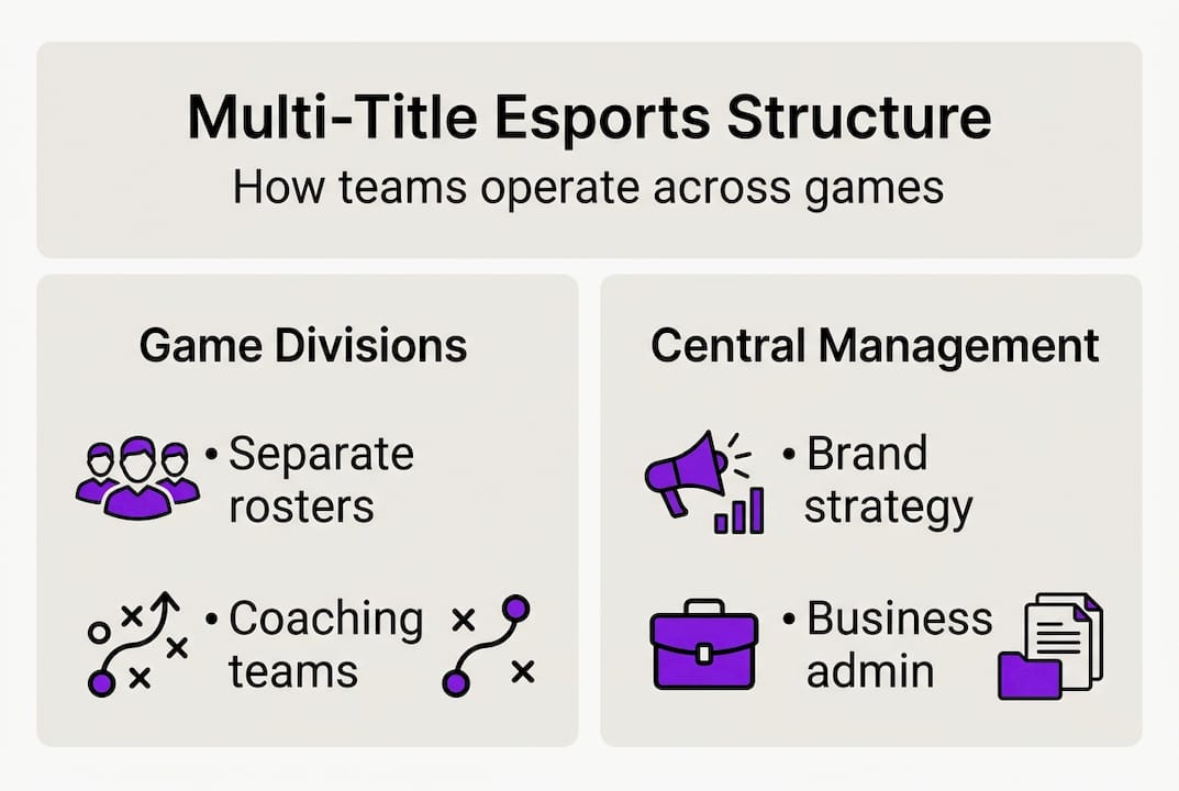 Infographic showing esports team structure and roles