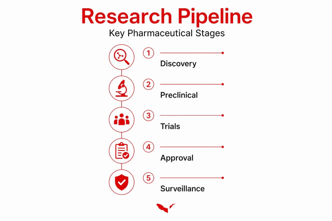 Infographic showing pharmaceutical research process steps