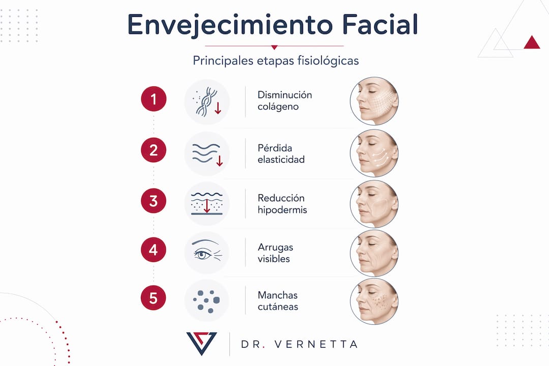 Infografía sobre los cambios físicos que experimenta el rostro con el paso de los años