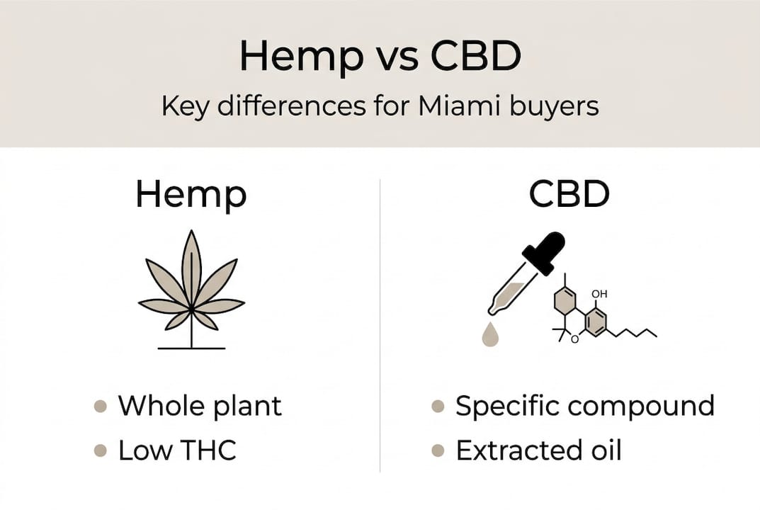 Infographic showing hemp versus CBD differences