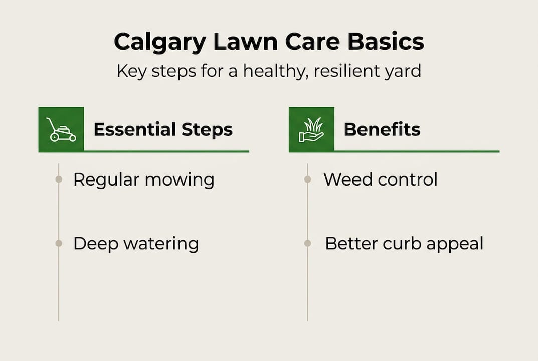 Infographic on Calgary lawn care basics