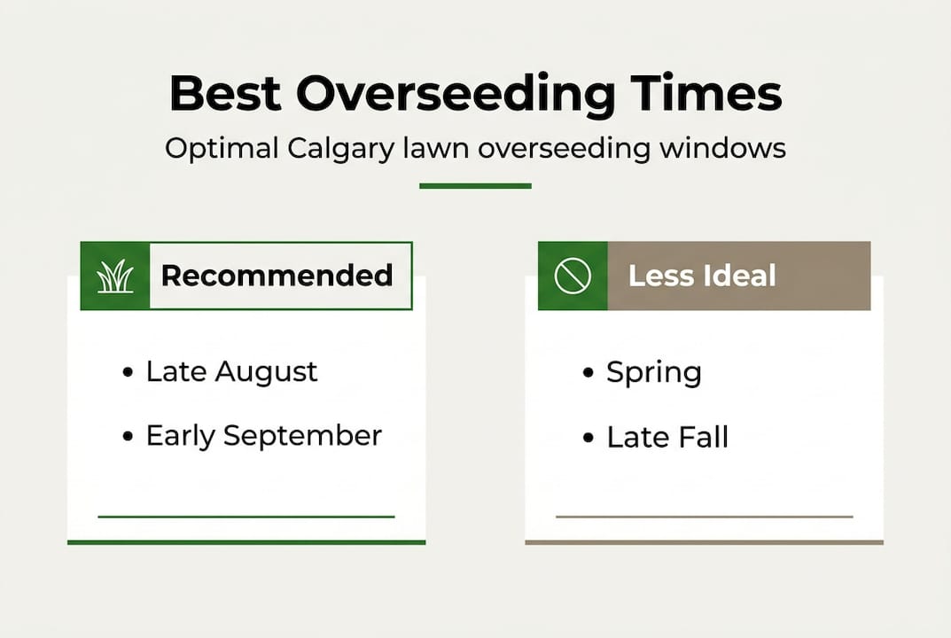 Infographic: Calgary lawn overseeding timing guide