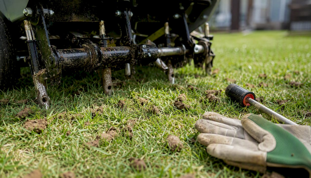 Lawn aeration and soil testing tools on grass