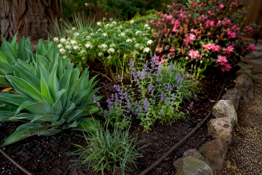 Garden bed with hydrozoned plant groups