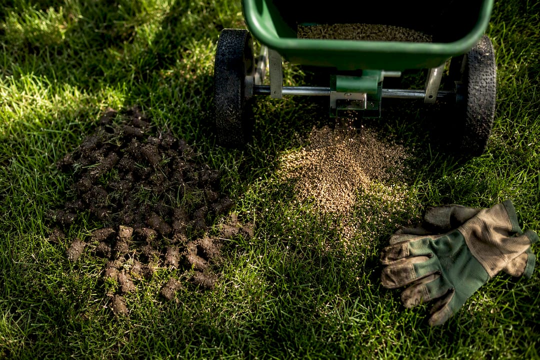Lawn aeration cores and overseeding tools