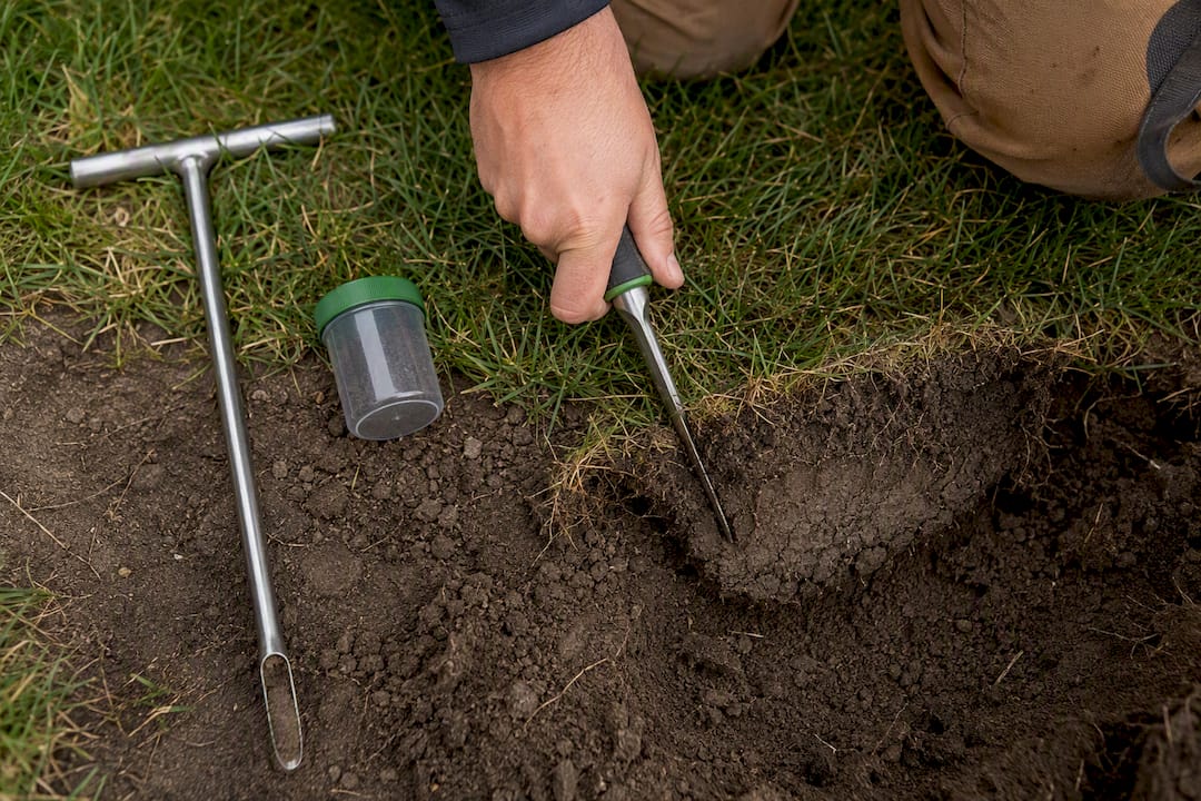 Inspecting compacted soil beneath damaged lawn