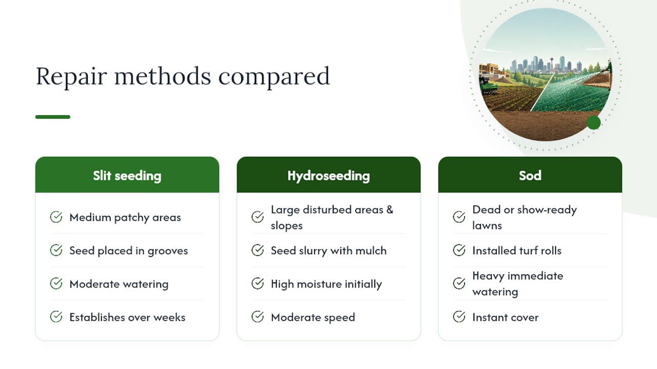 Comparison of three construction lawn repair methods